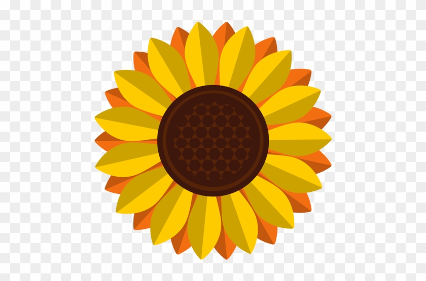 Isolated Sunflower Head Clipart Transparent Png - Sunflower Clipart Png #272268