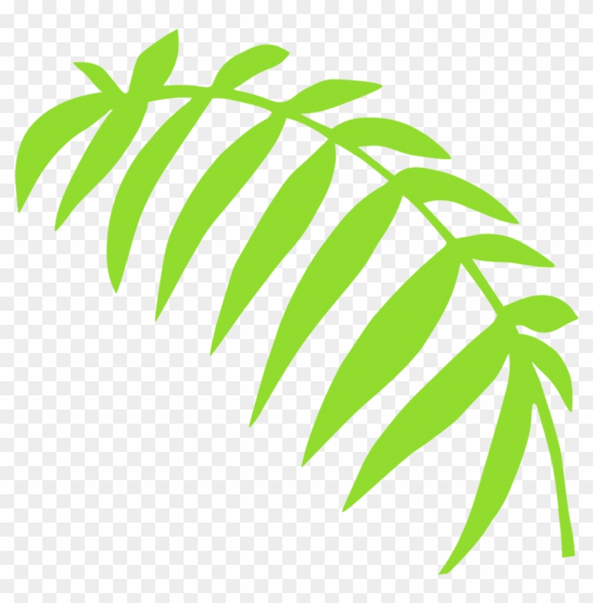 Green Fern Frond - Green Fern Frond #272273