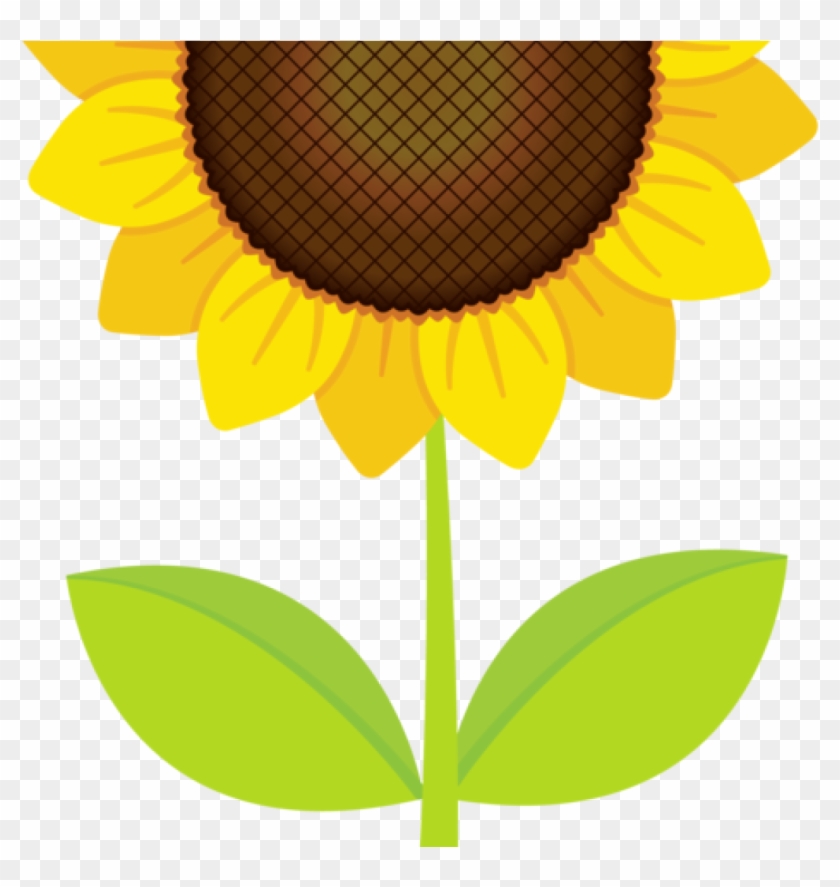 Sunflower Clipart Clipart Pinterest History Clipart - Clip Art #272315