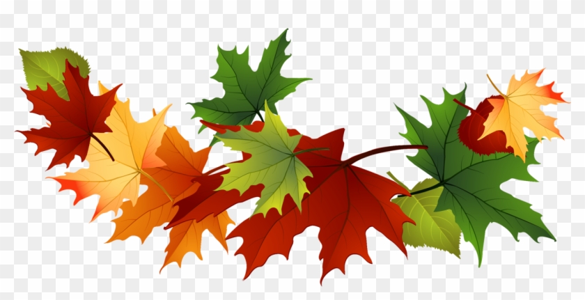 Fall Leaves Clip Art Free Fall Transparent Leaves - Maple Leaf #272324