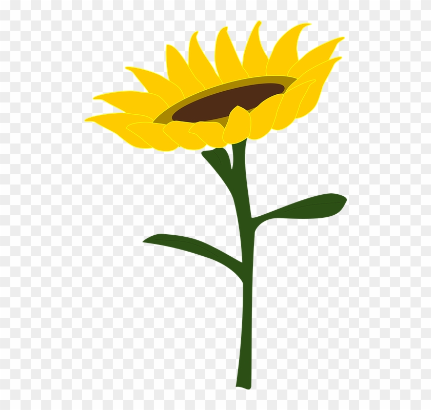 Country Sunflower Cliparts - Gambar Bunga Matahari Vektor #272328