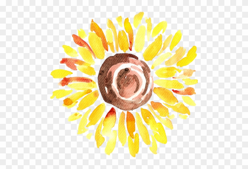 Kaylemain-sunflower - Chenara Dodge #272336