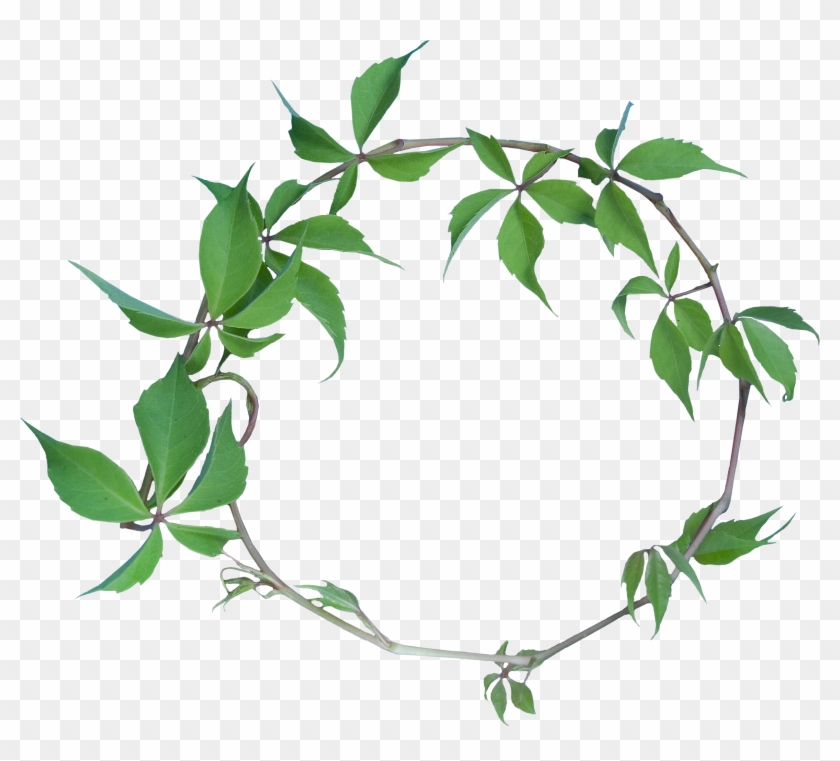 Green Leaf Garland - Green Leaf Garland #272619