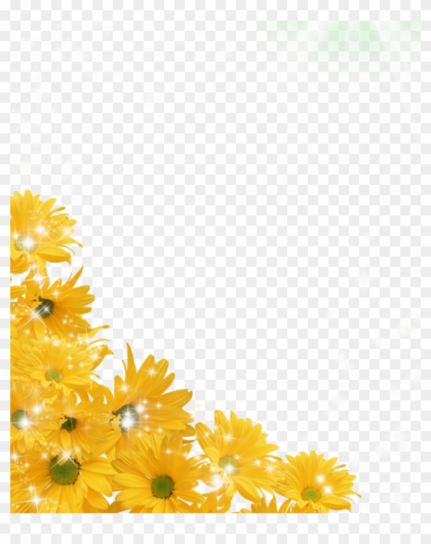 Top 25 Sunflower Png Transparent Images Free - Sunflower Border Transparent Background #272364