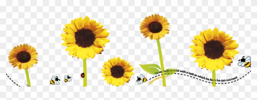 Sunflower Flower Free Png Transparent Images Free Download - Sunflower #272376