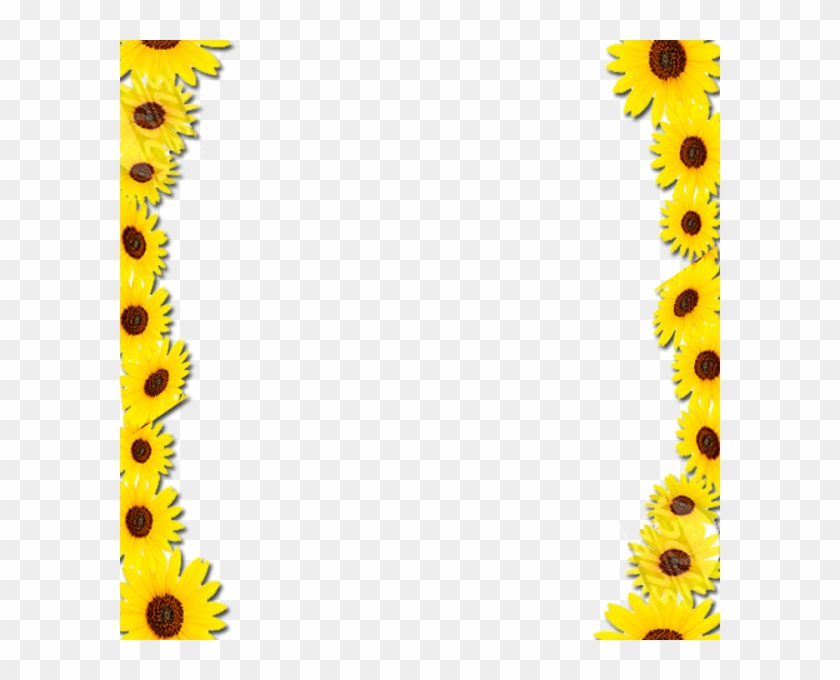 Common Sunflower Borders And Frames Picture Frames - Yellow Flowers Frame Png #272389