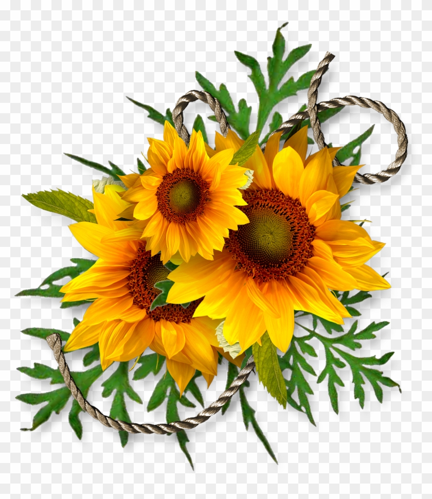 Download Sunflower Corner Border Clipart Download - Common ...