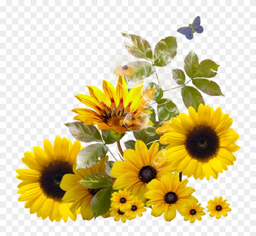 Sunflower Corner Border Clipart Download - Sunflower - Free Transparent ...