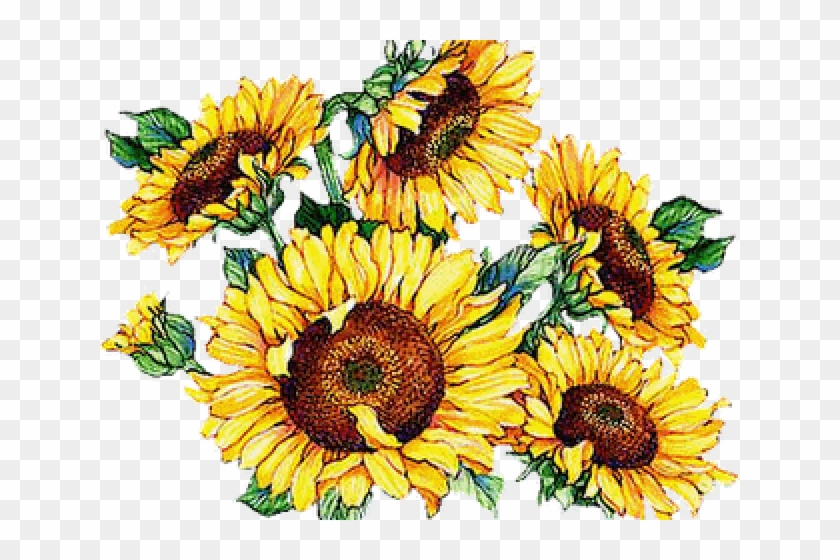 Vintage Sunflower Cliparts Have A Nice Weekend Free