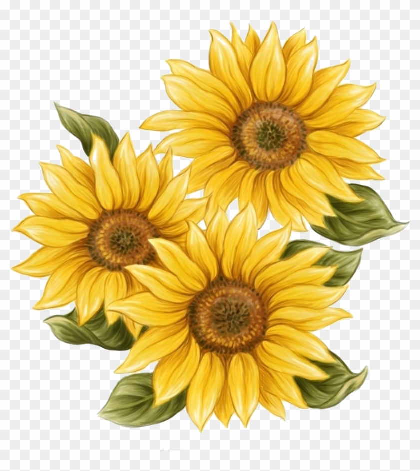 0 12f74e 6e8f21b Orig - Sunflower Drawing #272430