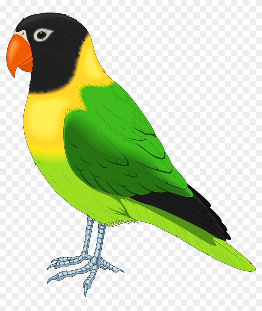Bird Cartoon Singing Clip 10906 Clip Art Green - Parrot Bird Clipart #272494