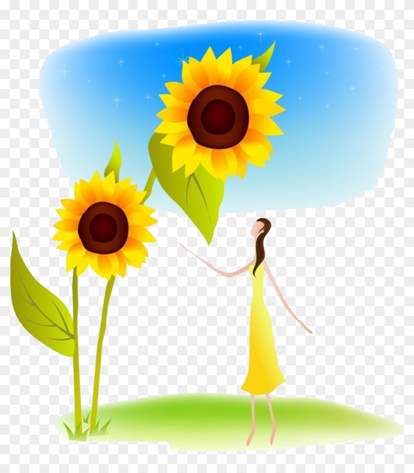 Cartoon Common Sunflower Illustration - Cartoon Common Sunflower Illustration #272605
