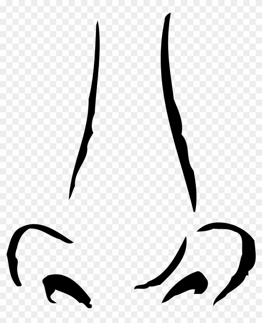 Cartoon Nose Clip Art - Trasparent Image Human Nose #272653