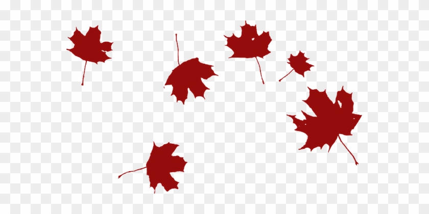 Maple Falling Wind Red Leaves Nature Autum - Grape Leaf Clip Art #272663