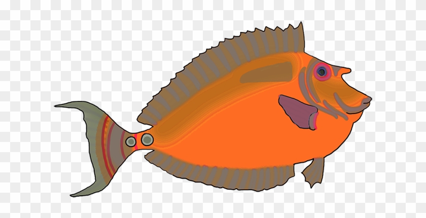 Colorful Blue Green Fish, Orange Fantasy Colored Fish - Orange #272678