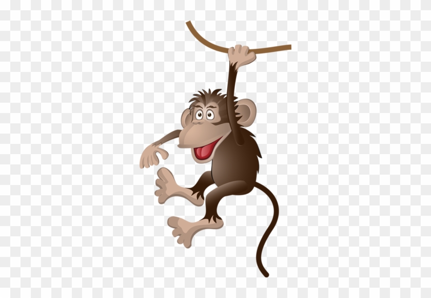 Pic Monkeyfunny - Monkey 2016 Png #272778