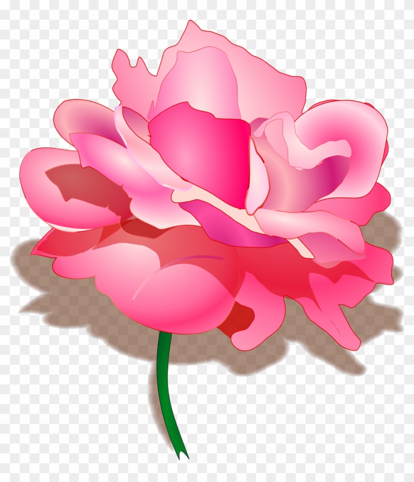 Pink Flower Clipart Flower Transparent Background - Pink Rose Illustration Png #272793