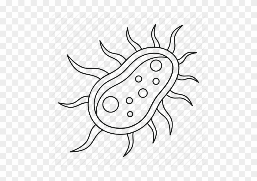 Bacteria, Biology, Centipede, Infection, Line, Microbiology - Bacteria Outline #272795