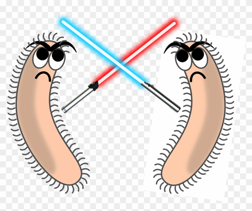 Bacterial Machinery For Competition, Killing And Defense - Bacterial Machinery For Competition, Killing And Defense #272838