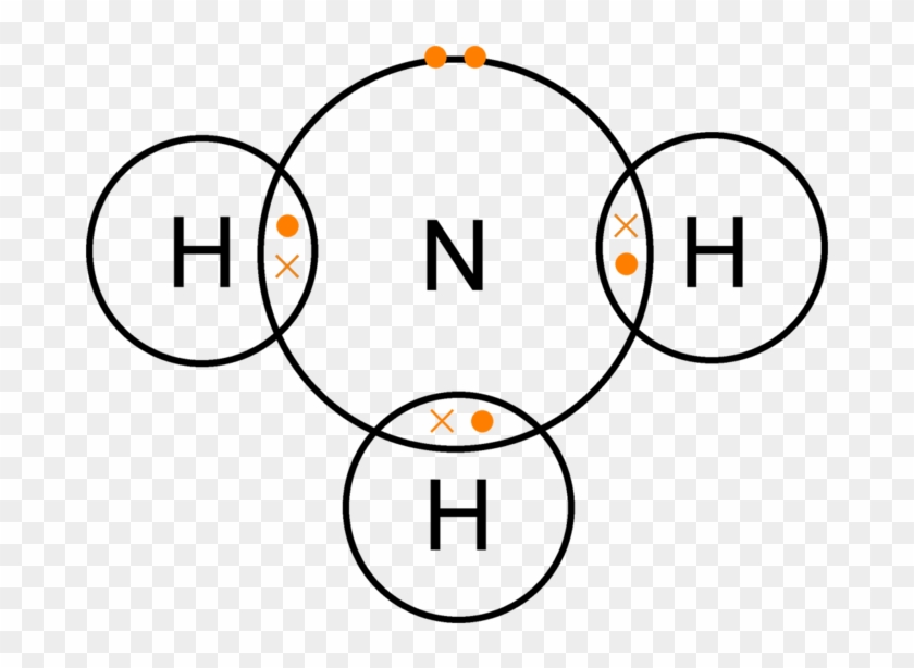 The Nitrifying Bacteria Cause What Is Commonly Called - Dot And Cross Diagram Of Nh3 #272868