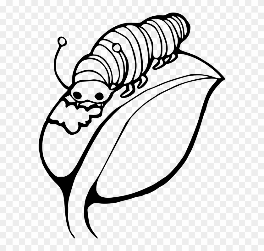 -7 Leaves Clipart Black And White - Caterpillar On A Leaf #272915