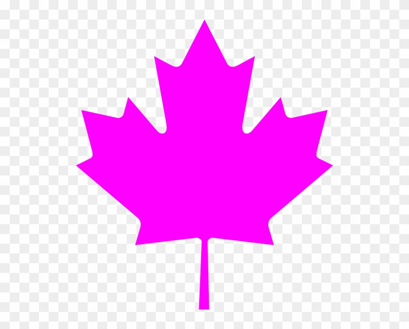 Leaf On The Canadian Flag #272925