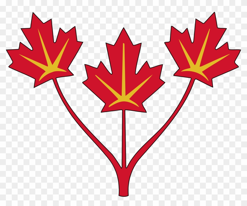 Three Maple Leaves Of Canada - Canadian Coat Of Arms Shield #272928