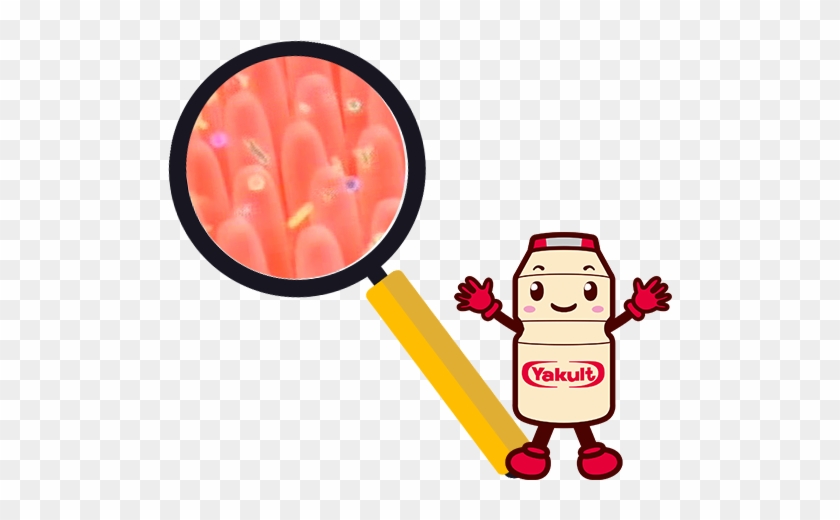 Yakult Digestive Drink - Digestive System Cartoons Transparent #272941