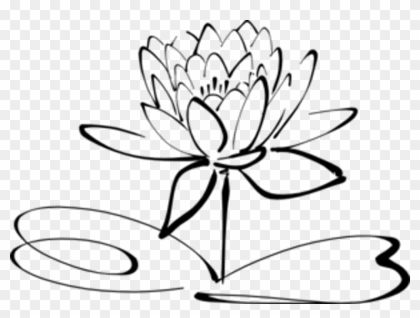 Lovely Pictures Of Lotus Flower Pictures Black And - Lotus Black And White #272956