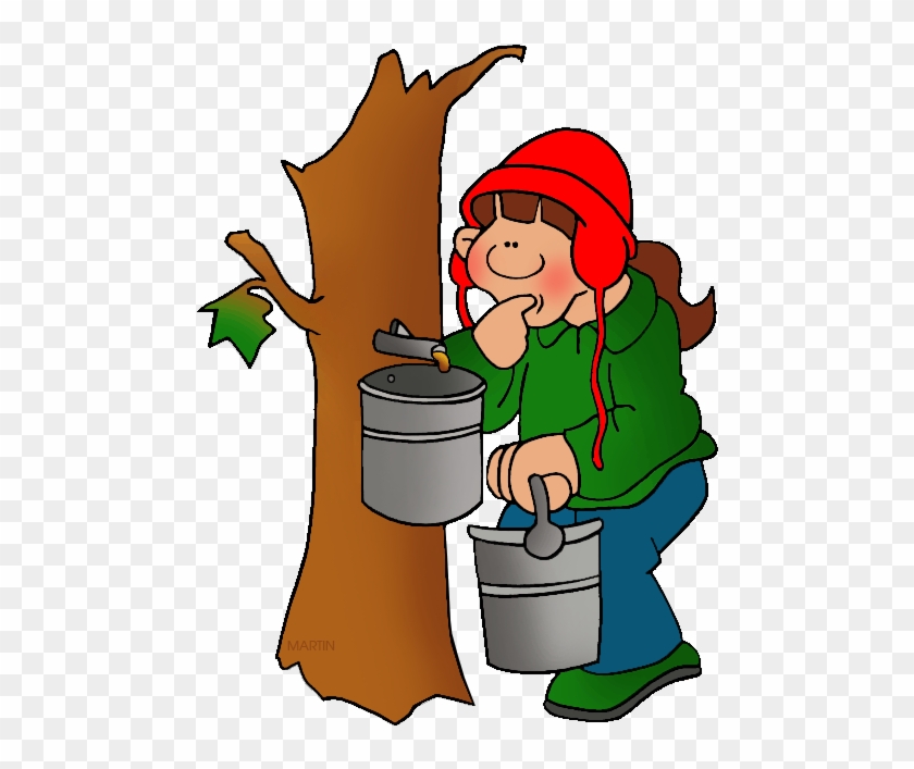 Tapping Maple Syrup - Maple Syrup Clip Art #272978