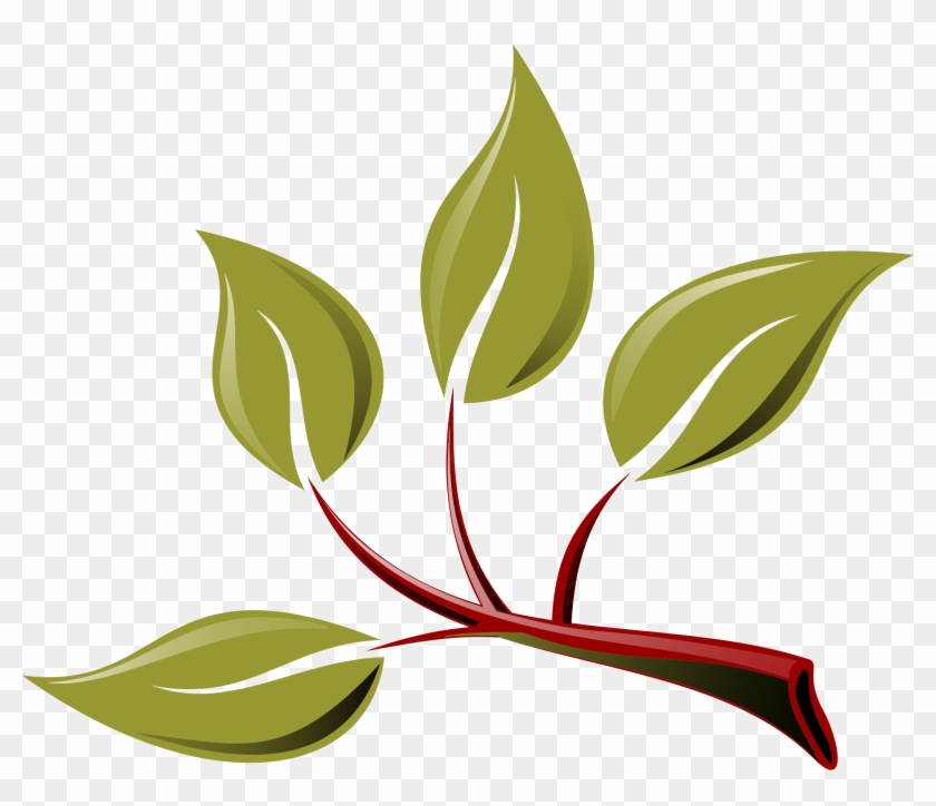 Big Image - Branch With Leaves Clipart #273011