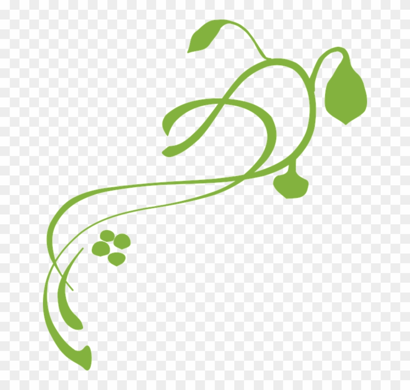 Pumpkin Vine Clipart - Lines, Vines And Trying Times #273012