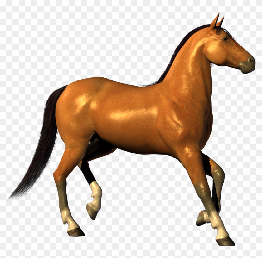 Transparent Horse Clipart - Transparent Horse Clipart #273032