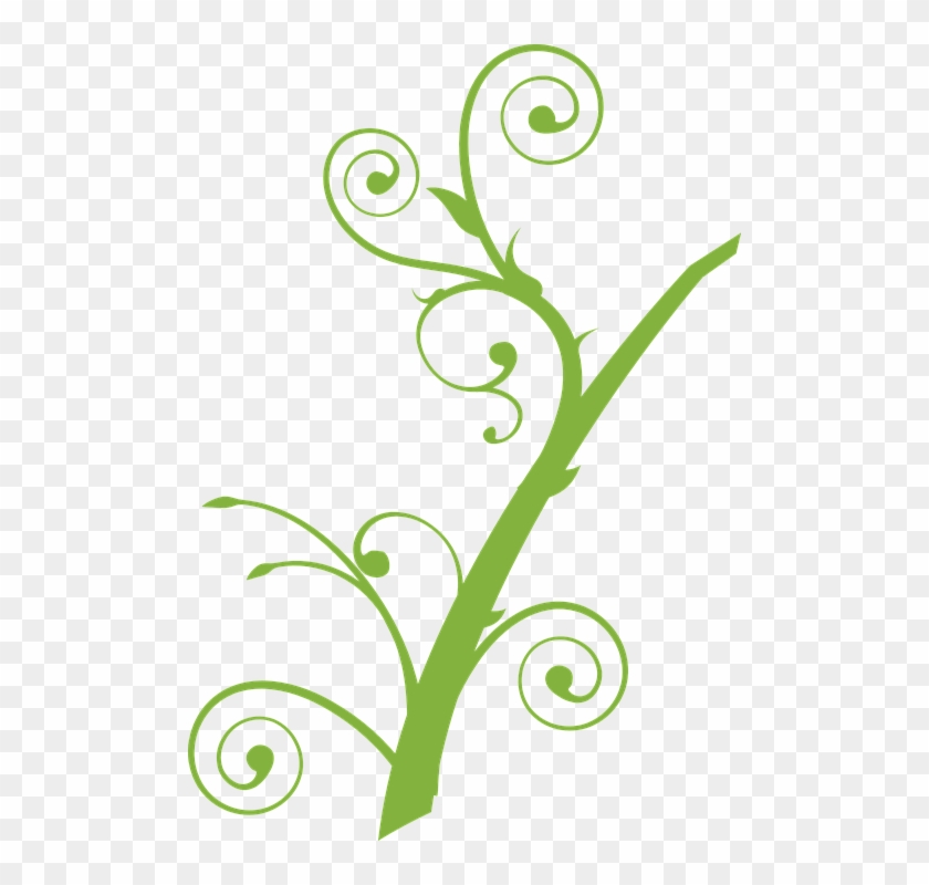 Free Vine Clipart - Tree Branch Clip Art #273044