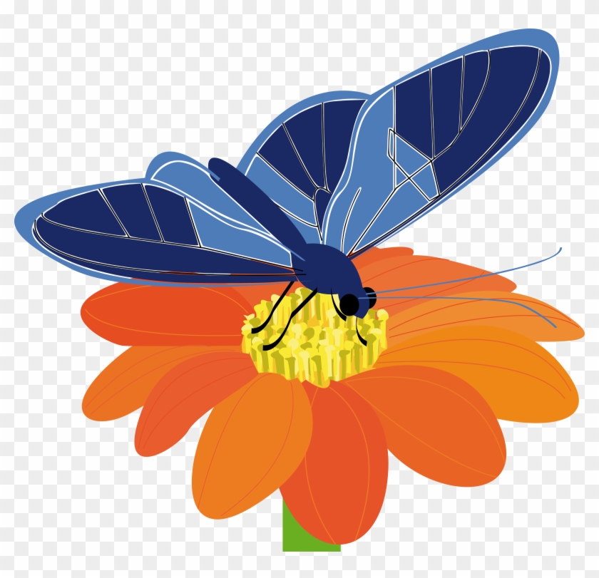 Blue Flower Clipart Big Flower - Butterfly On Flower Clip Art #273089