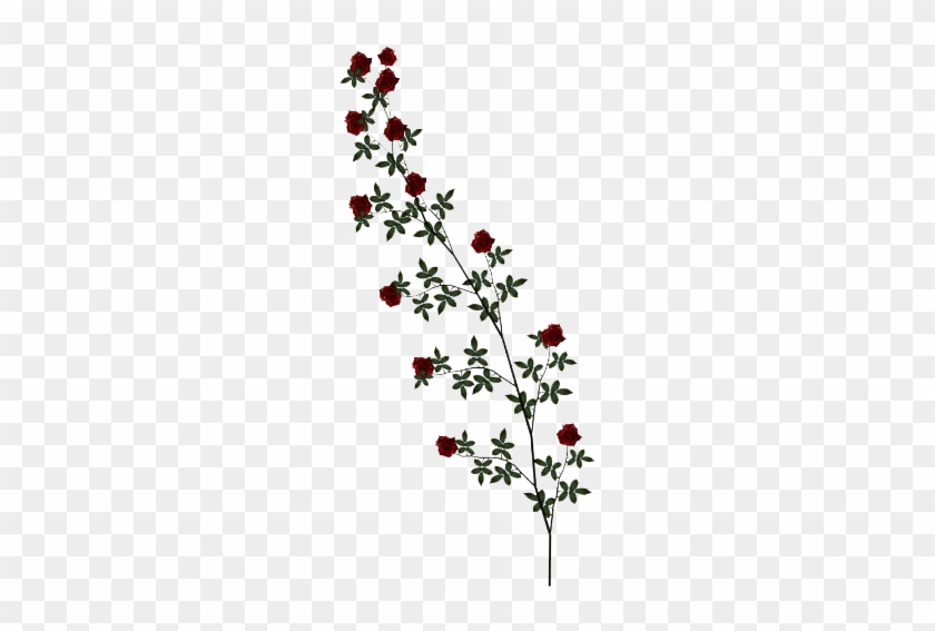 Clipart Awesome Design Vine Clipart Download Rose Hq - Rose Vine Png #273109