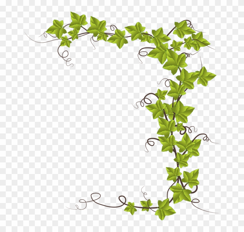 Pumpkin Vine Clipart Monkeyshine Wine Mr Right And Mrs Always Right 15 Free Transparent Png Clipart Images Download