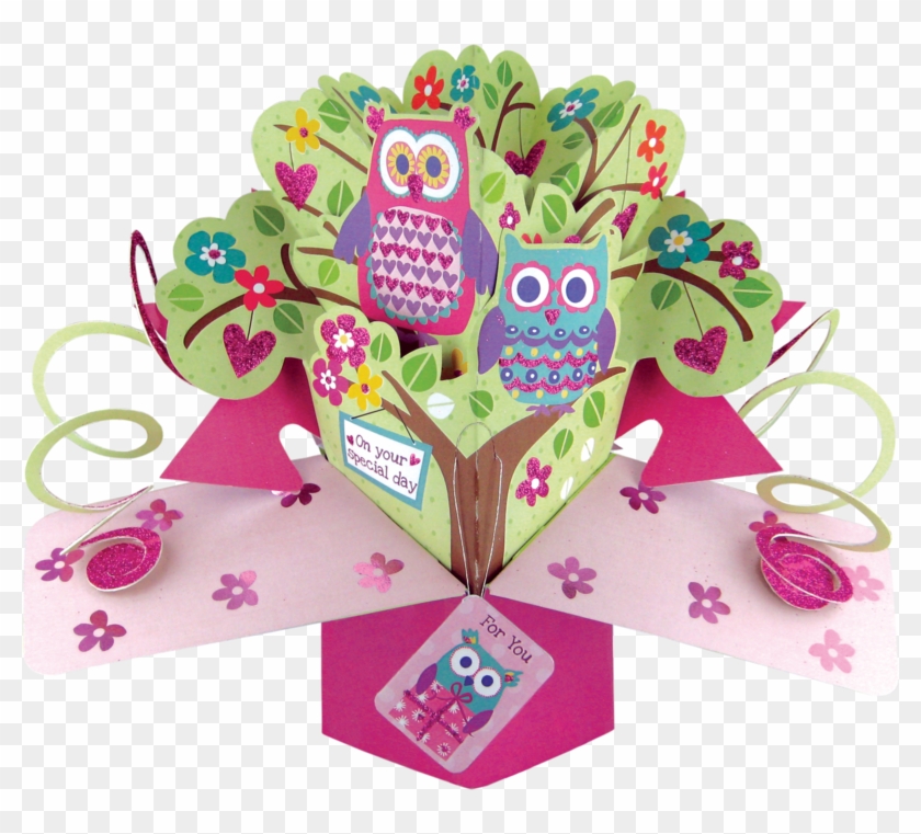 Pop Up Owls Card - Minimum Spend £40 #273176