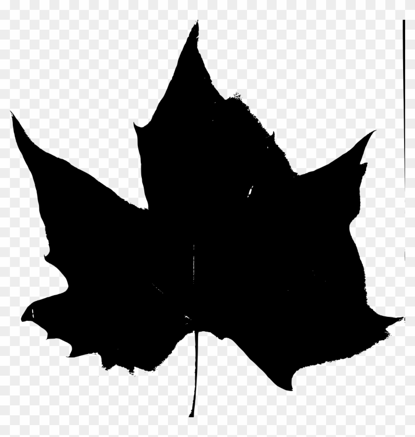 Fall Beijing Leaves Black Stencil 3 - Leaf Silhouette #273203