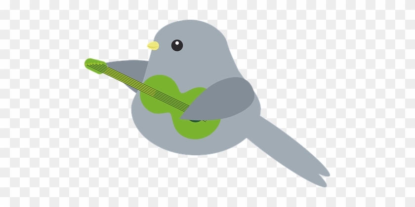 Bird Play Band Guitar Music Guitarist Bird - Guitar #273256