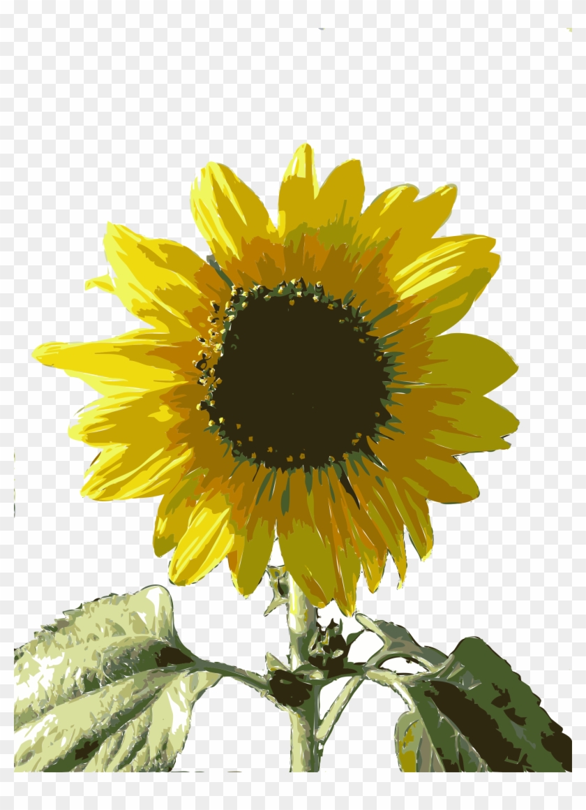 Sunflower Clipart Girasol - Clip Art #273292