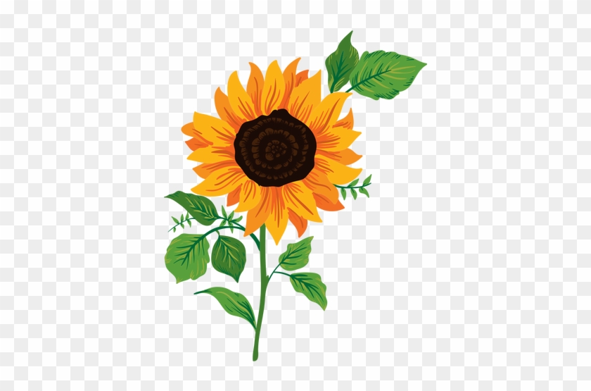 Sunflower Illustration Transparent Png - Sunflower Illustration Png #273319