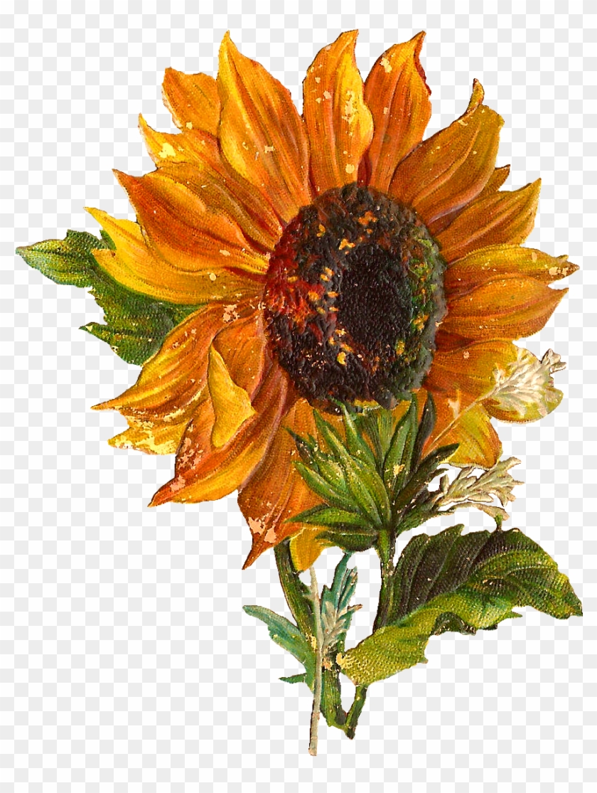 Digital Sunflower Downloads - Artificial Flower #273361