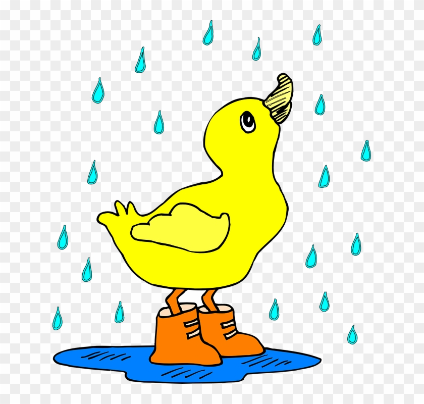 Birds Line Cliparts 22, Buy Clip Art - Duck In Rain Boots #273428