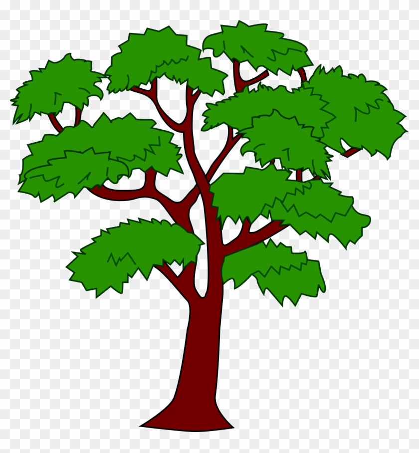 Clipart Mahogany Tree - Mahogany Tree Of Belize #273440
