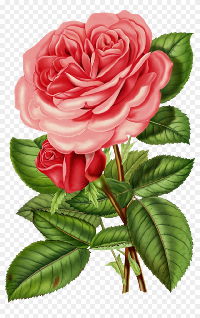 Red Rose Clipart Pink Rose - Supermensagens Net #273513