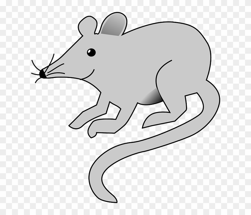 Mouse, Cartoon, Rat, Grey, Animal, Tail, Arts, Rats - Rat Clipart #273555