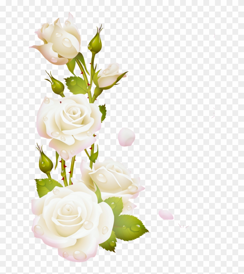 Como La Miel De Abejasmil Flores - White Rose Frame Png #273589