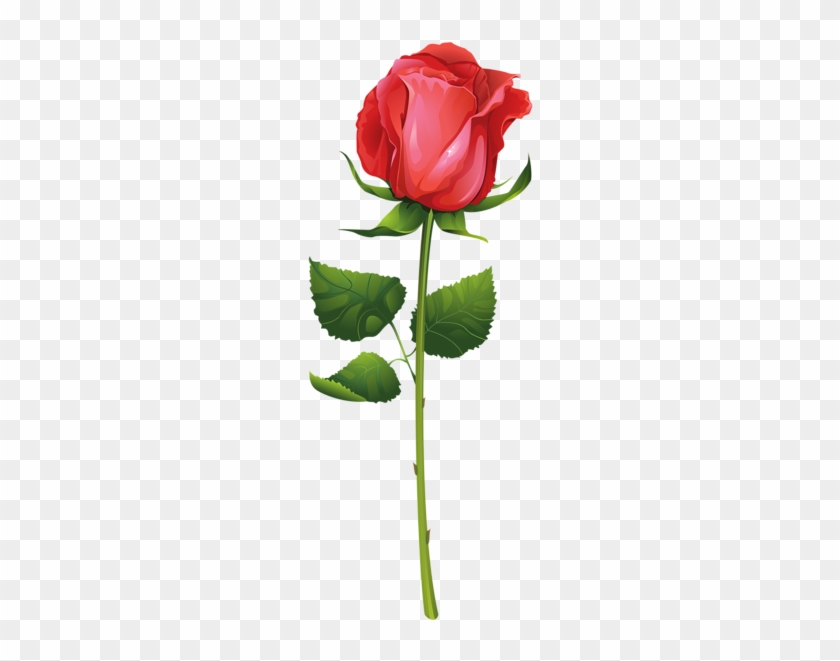 Rose With Stem Png Clip Art Image - Rose Vector #273602