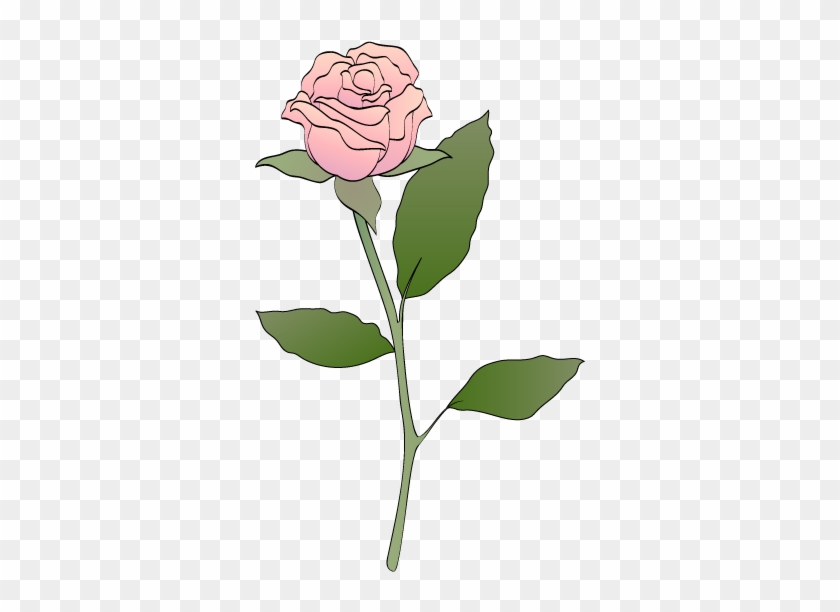 Roses The Pics Images Clip Art Pink Rose - Pink Rose Clip Art #273617